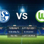 soi kèo Schalke-Vs-Wolfsburg